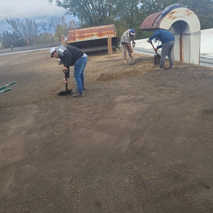 247890612_1562016480822703_8575258926312509258_n