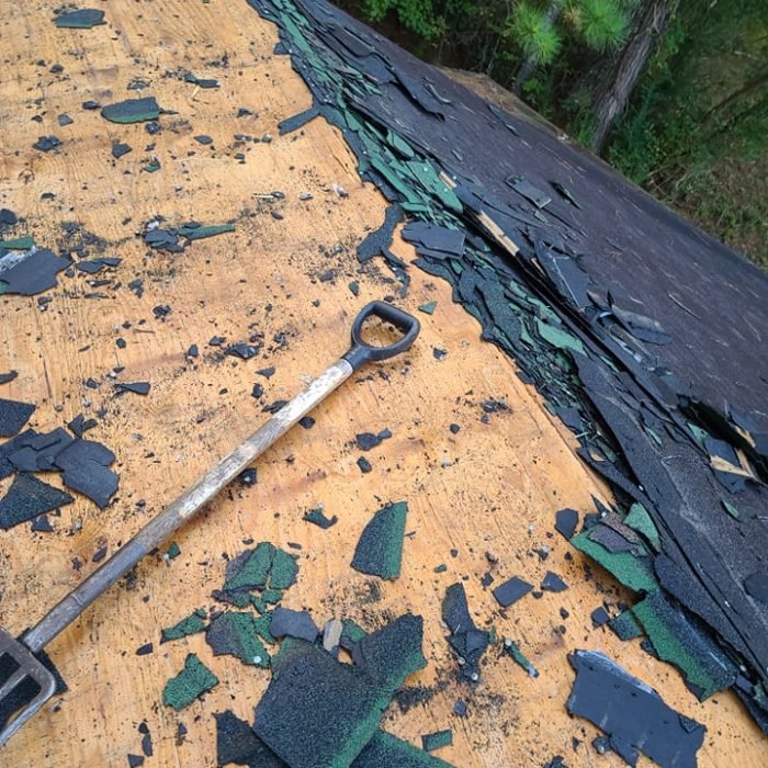 262532010_667268247961125_7037038533566787694_n