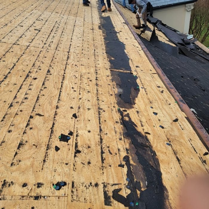 274331254_1610377652688933_9029431771892610157_n