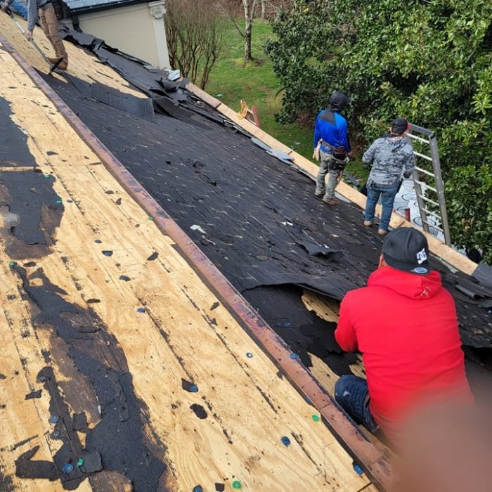 274787026_492973915566421_2789569837560446692_n